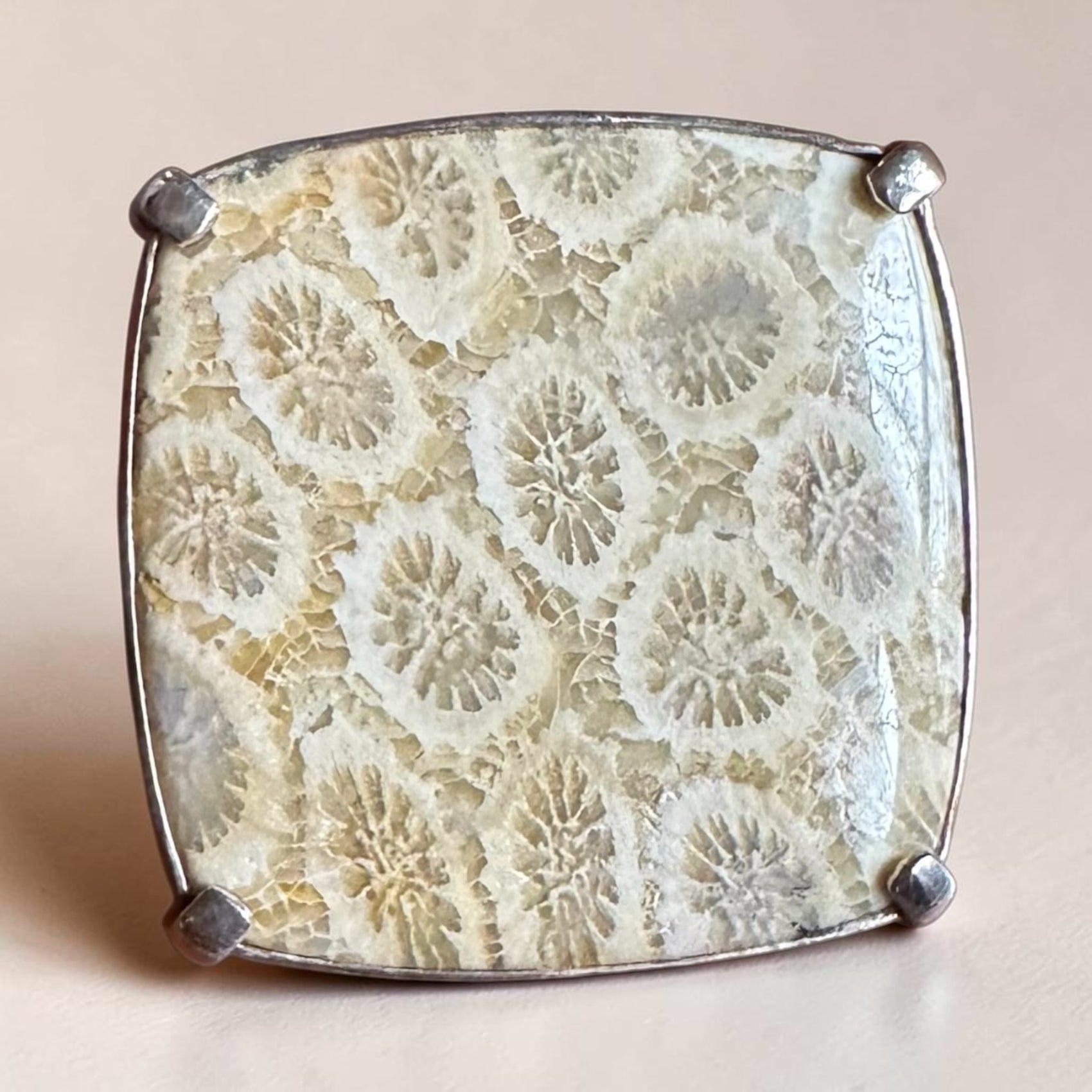 Coral stone with silver frame on a beige background