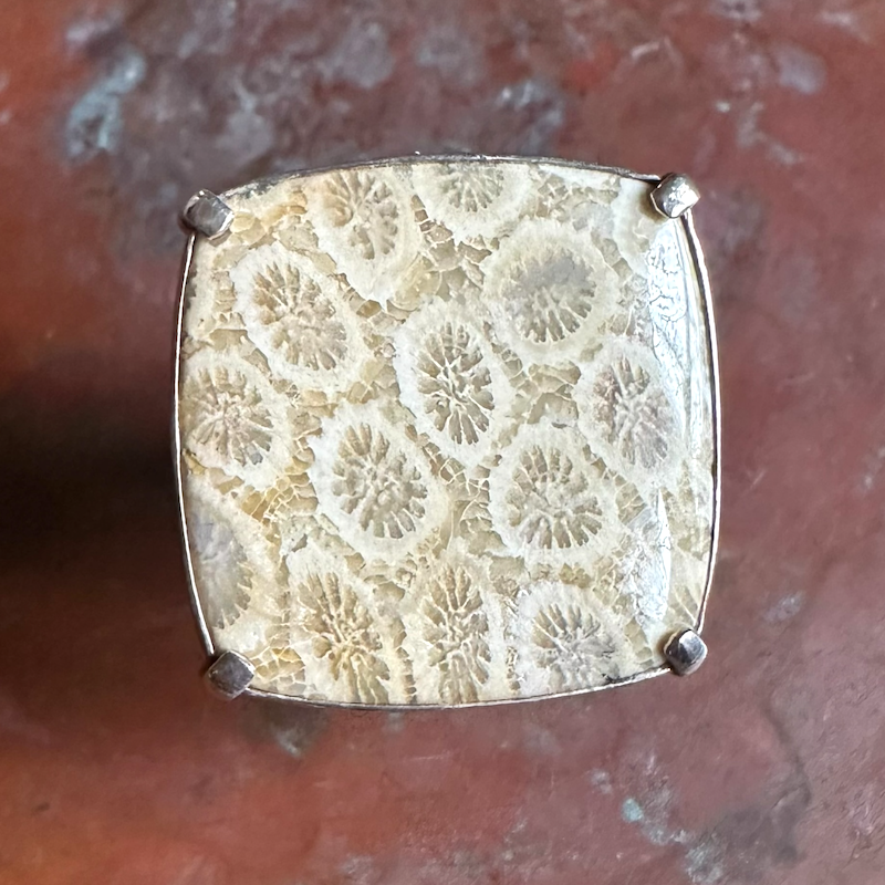 Square-shaped stone with coral pattern on a brown background